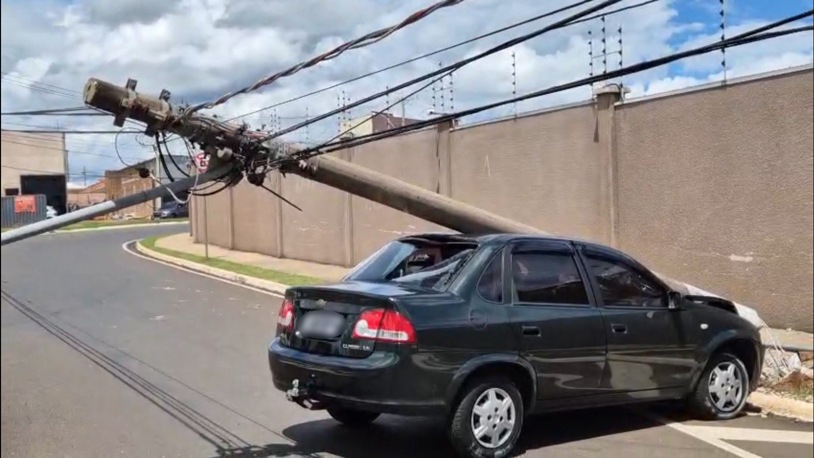 Sürücü, arabasından bir arıyı çıkarmaya çalışırken bir direğe çarptığını söyledi.
